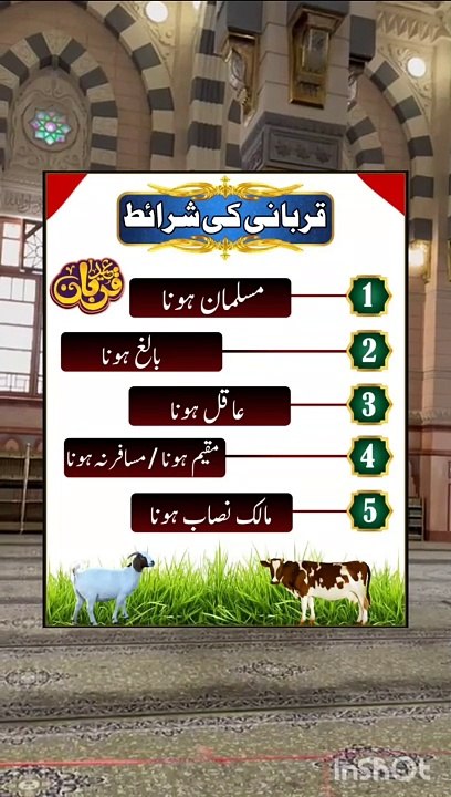 Qurbani