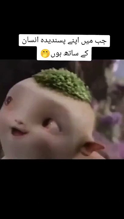 Funny video