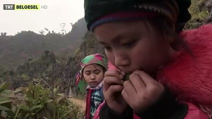 Sur le chemin de l'école Bande-annonce (TR)