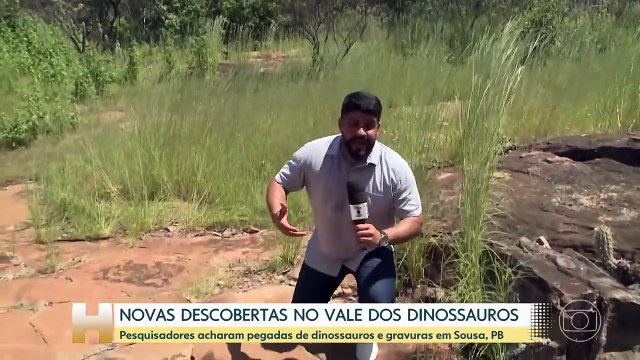 NOVAS DESCOBERTAS NO VALE DOS DINOSSAUROS