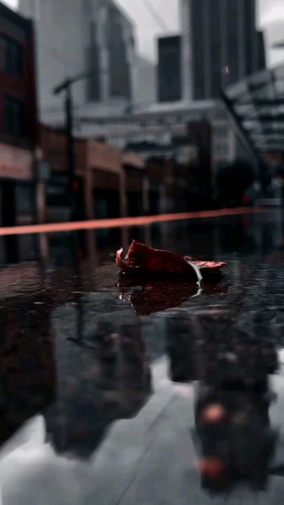 wrldly life on earth is test but Real is Hereafter if you pass or fail (heaven or hell)