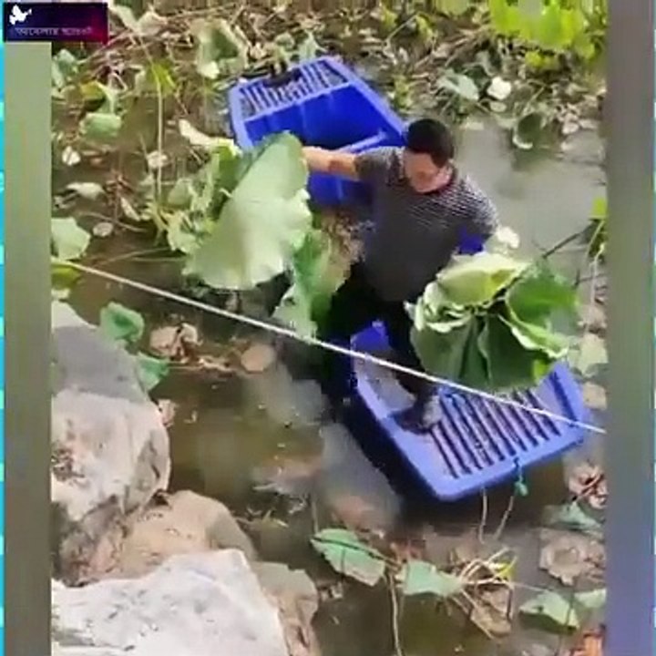 Funny videos