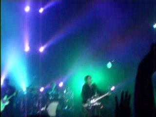 The cure-the lovecats
