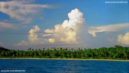 The Adventures of Swiss Family Robinson Episode 2 - Book 1 - Survival