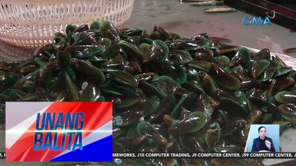 Ilang baybayin sa Visayas at Mindanao, apektado ng toxic red tide | Unang Balita