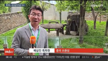 푸바오 중국 내 새 보금자리 공개…"자연방사장서 다른 판다와 교류"