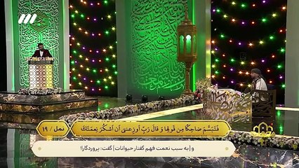 مشاركة القارئ البريطاني في برنامج محفل 2024 - الموسم الثاني(360P)