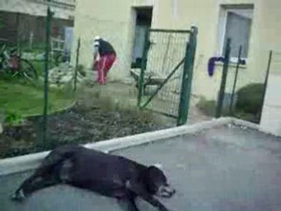 Le project blair wich selon Axel !!