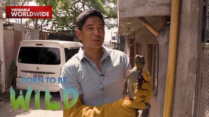 Na-rescue na ibid sa Rizal, putol ang kaliwang paa?! | Born to be Wild