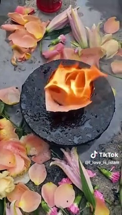 Fine video