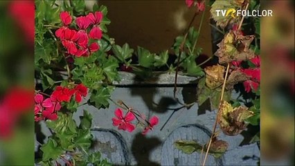 Gheorghe Rosoga - Noaptea-n timpul somnului (arhiva TVR)