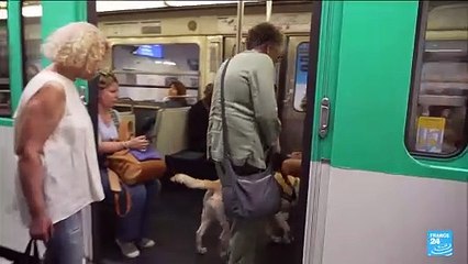 JO-2024 : quels aménagements pour les handicapés ?