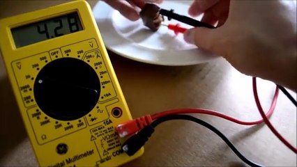 How to make a Battery #science #project #model