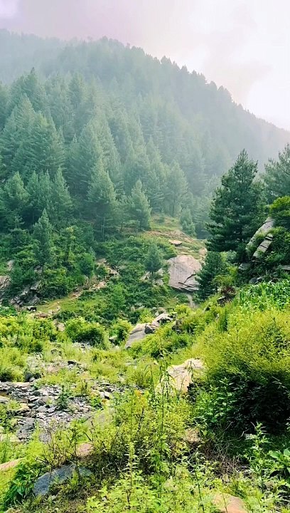 Pakistan swat