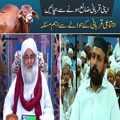 اپنی قربانی ضائع ہونے سے بچائیں اجتماعی قربانی کے حوالے سے اہم مسئلہ
