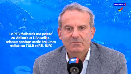 Elections: le PTB réaliserait une percée en Wallonie et à Bruxelles, selon un sondage sortie des urnes