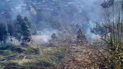 Corpo de Bombeiros é mobilizado para apagar incêndio em vegetação no Santa Felicidade