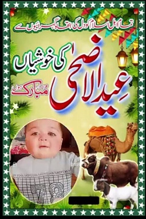 Islamic lines
