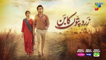 مسلسل باكستاني زرد باتون كا بون الحلقة 5 مترجمة للعربية | مسلسل باكستاني Zard Patton Ka Bunn الحلقة 5 مترجمة للعربية