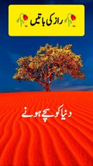 Shorts stories | motivation Stories quotes