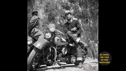PEDRO INFANTE Y LA HISTORIA DE SU FAMOSA HARLEY DAVIDSON QUE TODAVÍA HOY CAUSA FASCINACIÓN
