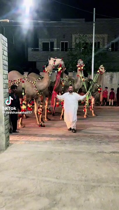Qurbani k janwar
