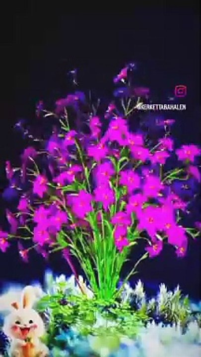 VID_294930818_115052_231