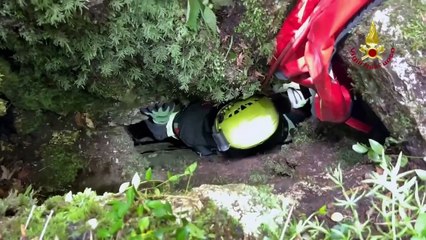 Segugio cade in una frattura rocciosa, salvato dai Vigili del fuoco