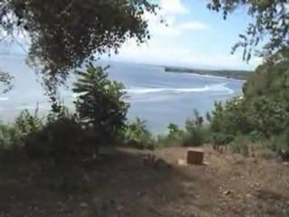 Intro indo 2007