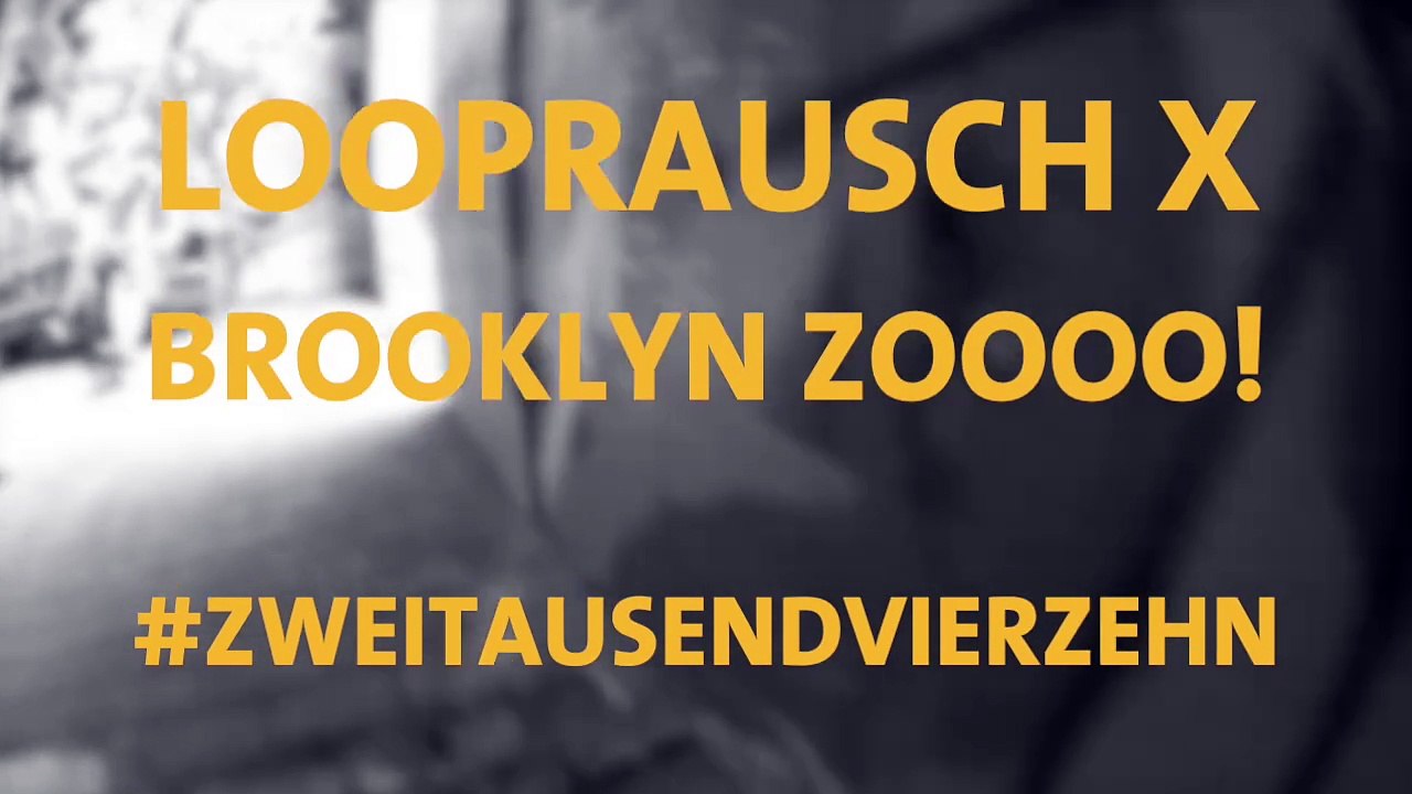 Looprausch x brooklyn zoooo #zweitausendvierzehn (2014).