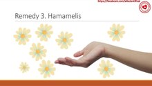 Hamamelis for treatment of sweating