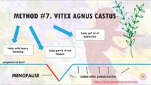 Vitex agnus castus for regulating progresterone levels