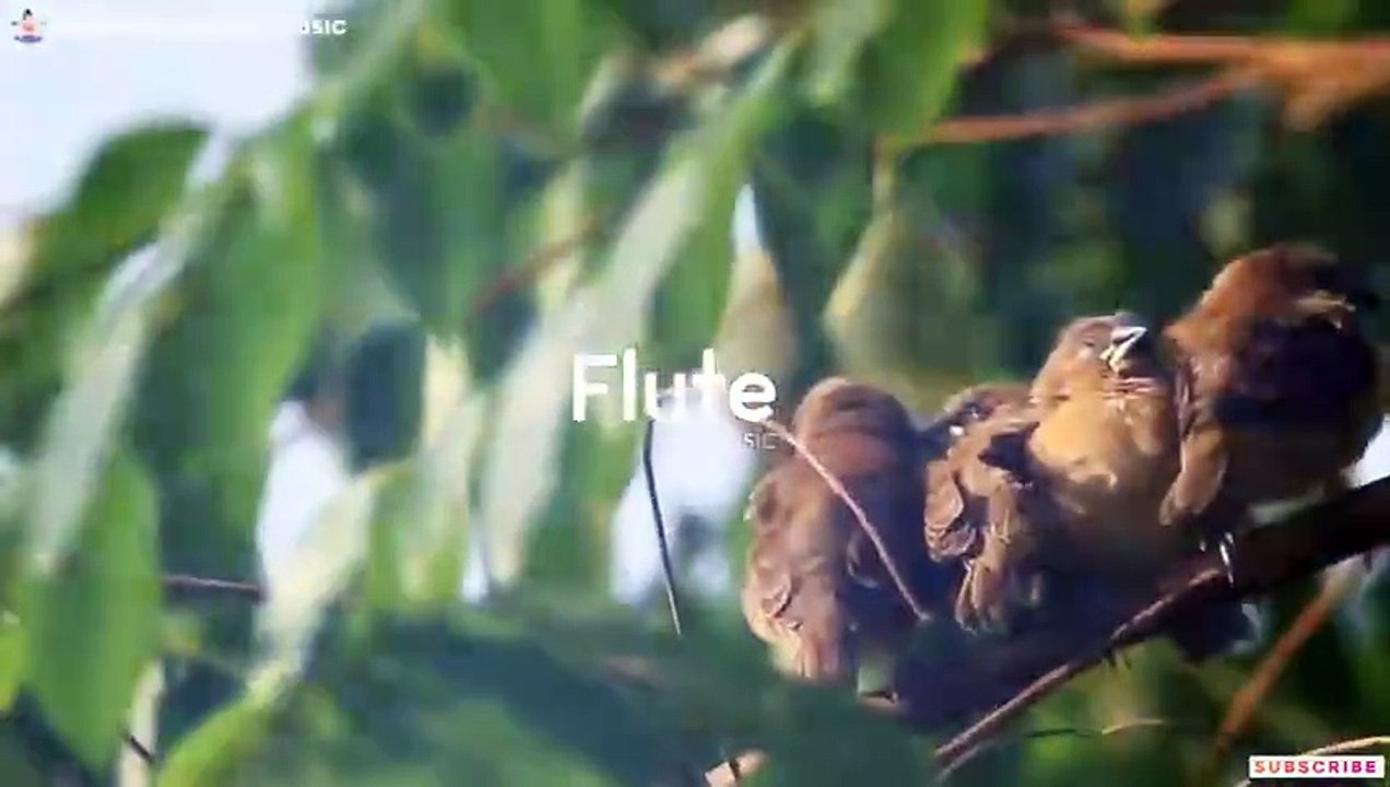 Sons de guérison tibétains : nettoie l'aura et l'espace. Supprime toute énergie négative