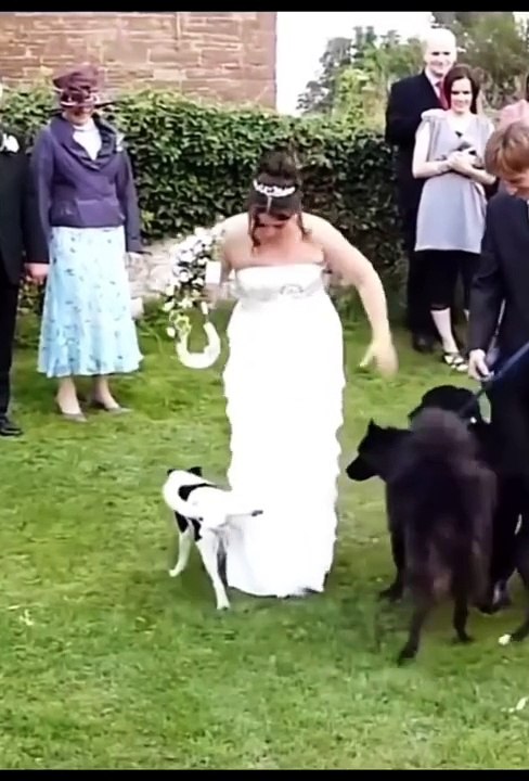 #fyp_#foryou_#viral_#dog_#funny_#duet_#like_#family_#foryoupage_#trending_#stitch_#fürdich_#viralvideo_#viraltiktok_#funnyvideos_#fy_#cutebaby_#baby_#