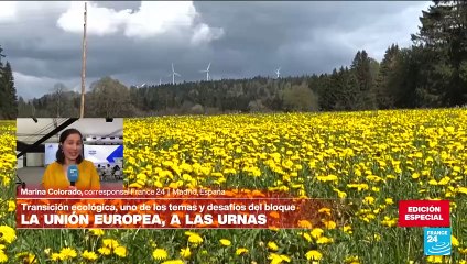 Informe desde Madrid: el grupo de Los Verdes podría perder escaños en el Parlamento Europeo