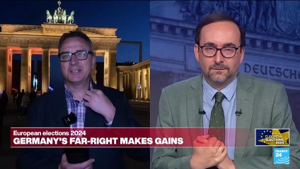 2024 European elections: Greens face major setback