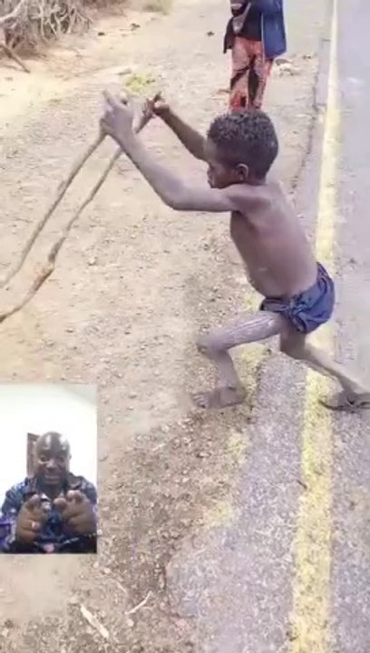 Amazing  video