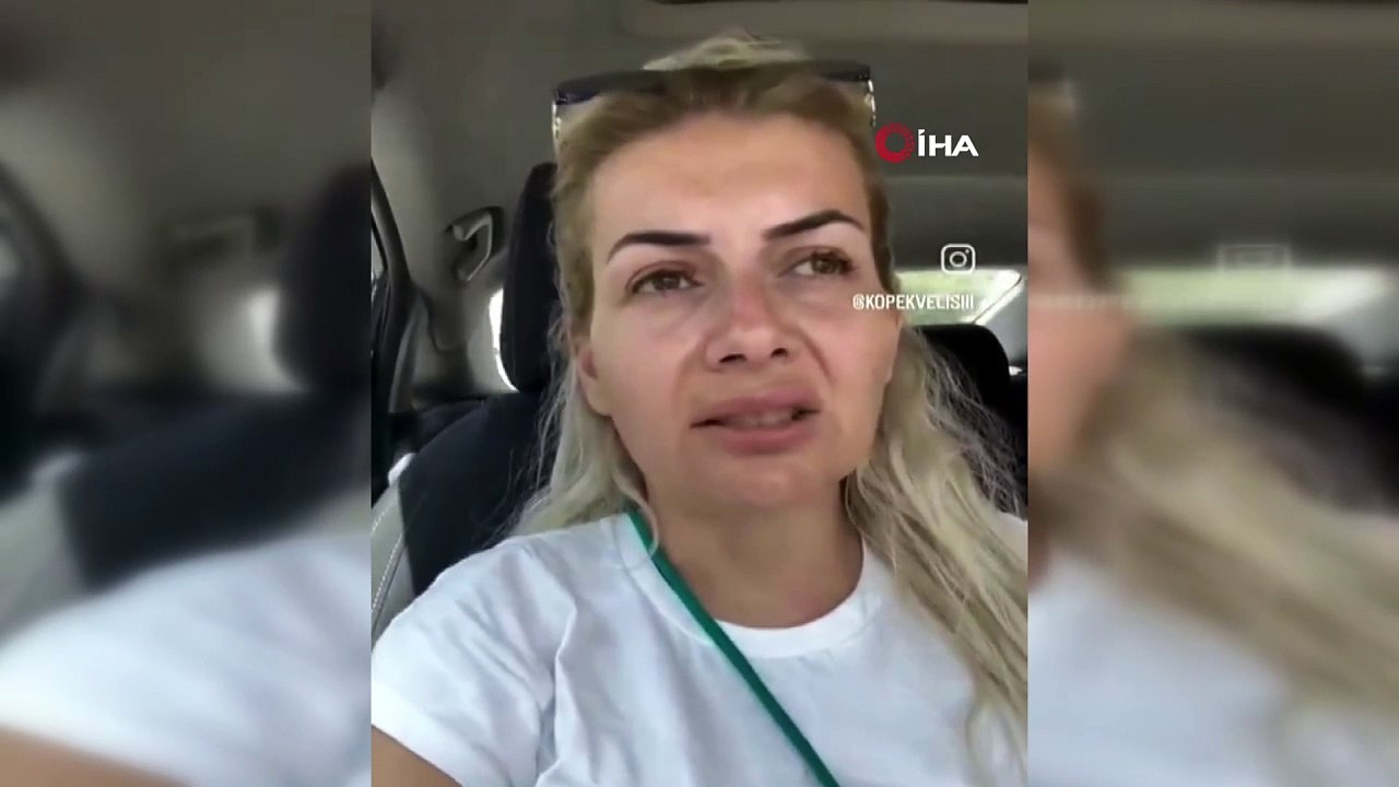 Ankara Valiliği: Hastalık taşıyan köpeklerin ilimize getirildiği iddiaları ihbar kabul edilecek