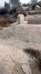 Kuch bhi karlo akhir mout hai