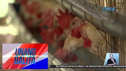Dept. of Agriculture – Bawal ang pag-angkat ng domestic at wild birds, poultry products, at itlog mula Australia | Unang Balita