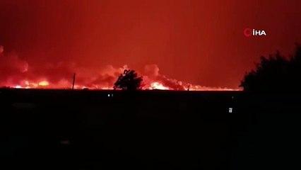 TİGEM arazisinde büyük yangın