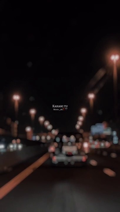 tiktokio.com_12gnT6dggQ0Uf5bS0MBn