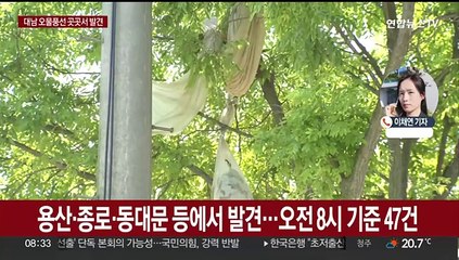북한 이틀연속 오물풍선 살포…서울 도심 등 곳곳서 발견