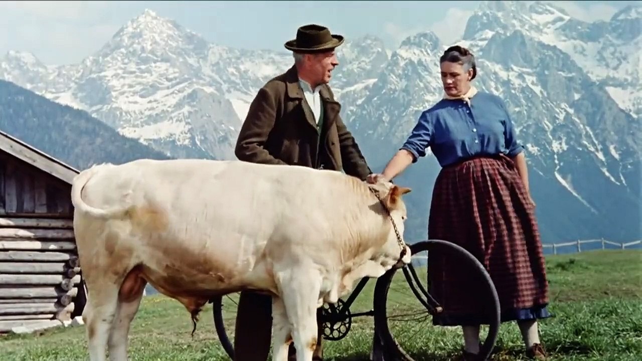 Die fröhliche Wallfahrt (1956) stream deutsch anschauen