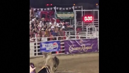 미 오레곤주에서 로데오 경기 중 황소 탈출...3명 부상 / YTN