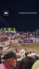 Rodeo bull hops fence at Oregon arena, injures 3  before being captured