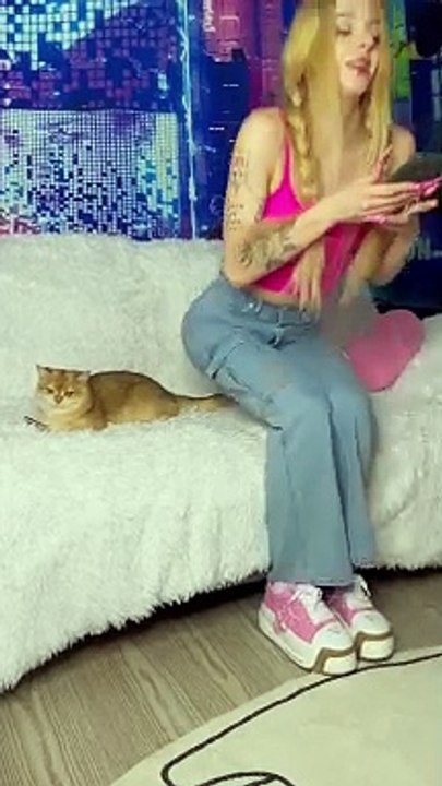 My cat