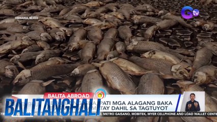 Libo-libong isda pati mga alagang baka at asno, namamatay dahil sa tagtuyot | Balitanghali