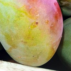 -ANDRÉS DE JESÚS VÉLEZ FRANCO- PAÍSAJISMO EN LA ERA DEL CAMBIO CLIMÁTICO (PARTE 1) (@AndresdeJesus90)