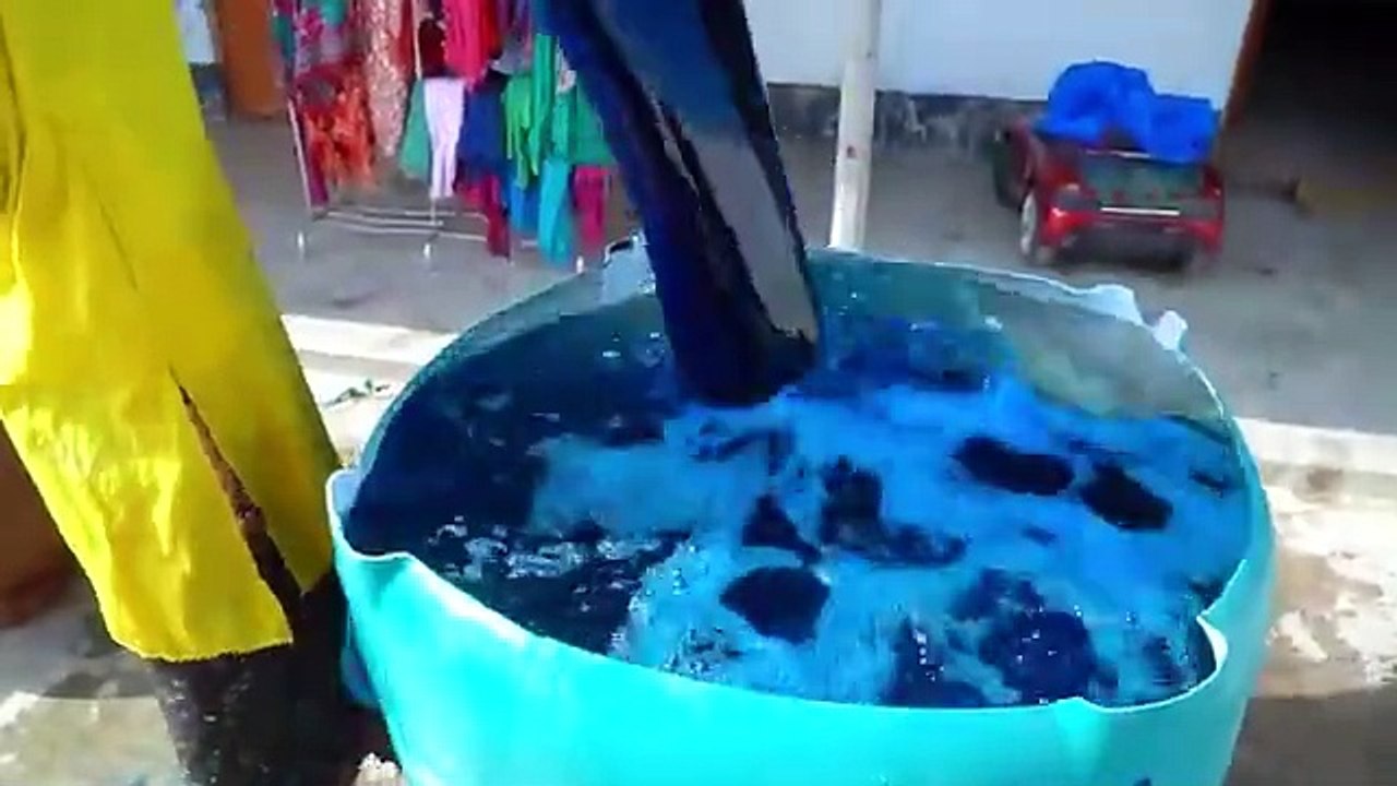 Funny videos